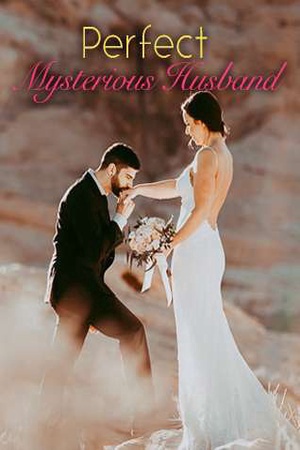Cover of Perfect Mysterious Husband (Maddox and Kimberly)