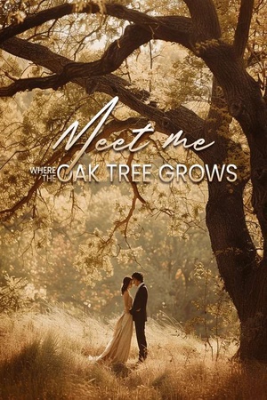 Cover of Meet Me Where the Oak Tree Grows