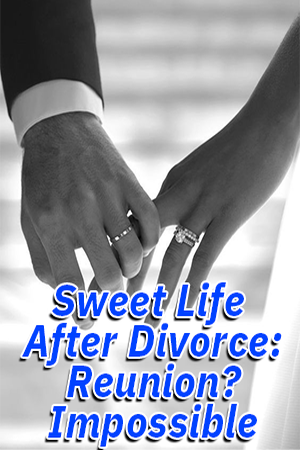 Cover of Sweet Life After Divorce: Reunion? Impossible!