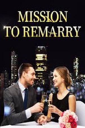 Cover of Mission To Remarry